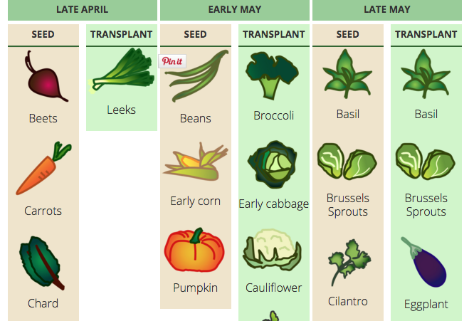 Gardening calendar