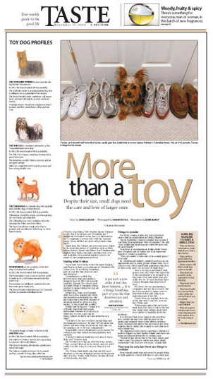 Section cover on the appeal of toy dogs